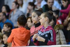 В Мингячевире проходят XXIII Первенство Азербайджана и III Кубок регионов по художественной гимнастике (ФОТО)
