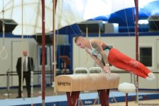 Day 2 of gymnastics championships kicks off in Baku (PHOTO)
