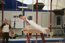 Day 2 of gymnastics championships kicks off in Baku (PHOTO)