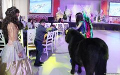 В Elite Events Hall прошел праздничный благотворительный вечер для детей (ФОТО)