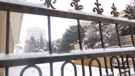 Снег в Баку (ФОТОСЕССИЯ)
