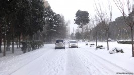 Снег в Баку (ФОТОСЕССИЯ)