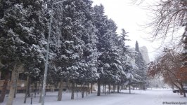 Снег в Баку (ФОТОСЕССИЯ)