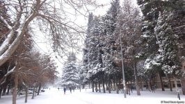 Снег в Баку (ФОТОСЕССИЯ)