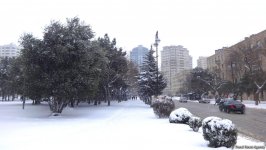Снег в Баку (ФОТОСЕССИЯ)