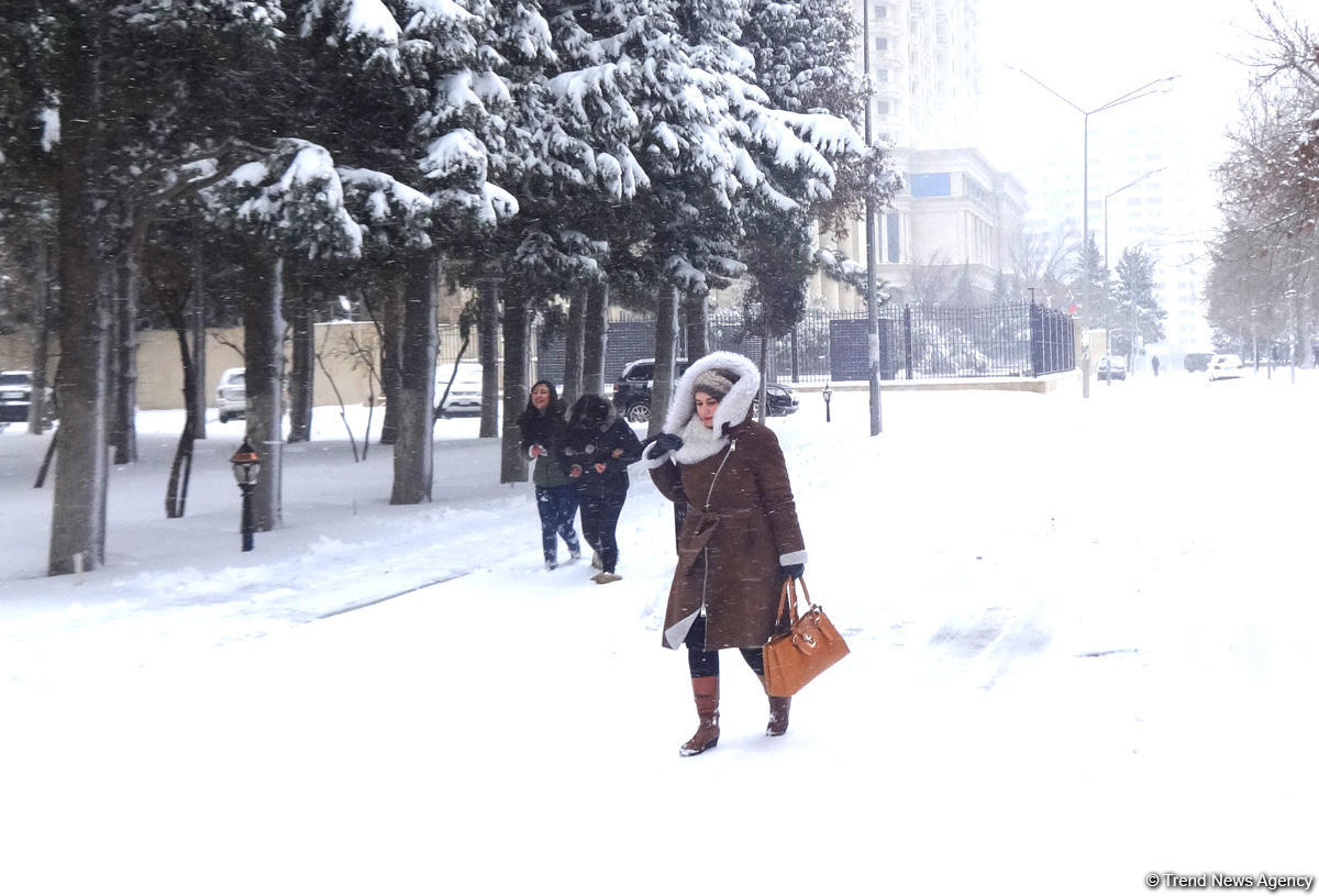 Снег в Баку (ФОТОСЕССИЯ)