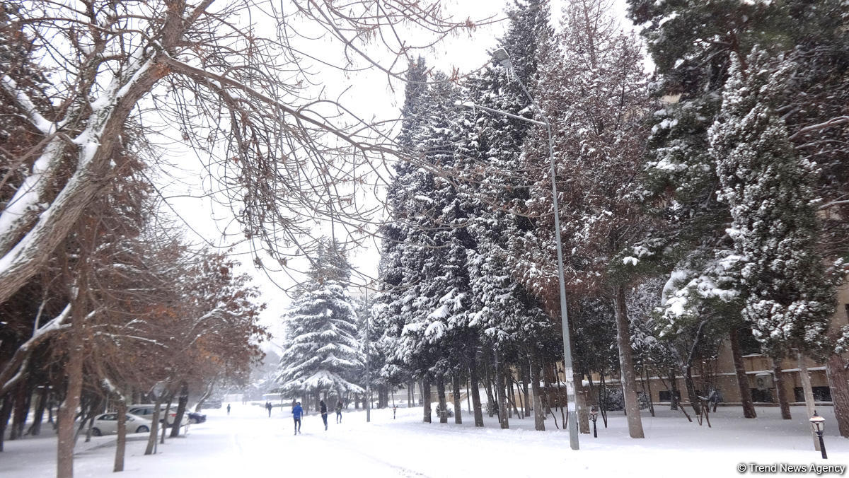 Снег в Баку (ФОТОСЕССИЯ)