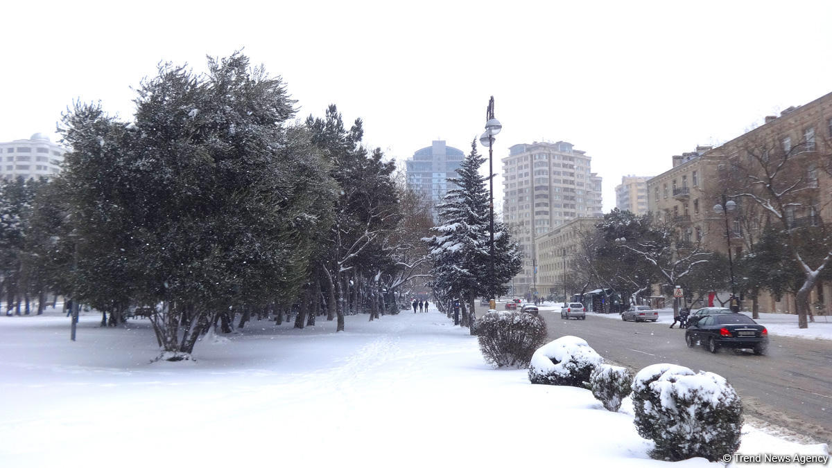 Снег в Баку (ФОТОСЕССИЯ)