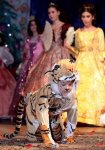 Внук Мятанет Искендерли пошел по стопам звездной бабушки (ФОТО)