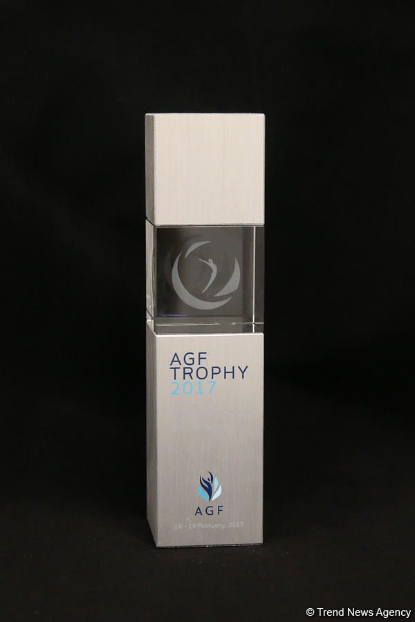 Special prize to be awarded at Baku FIG World Cup (PHOTO)