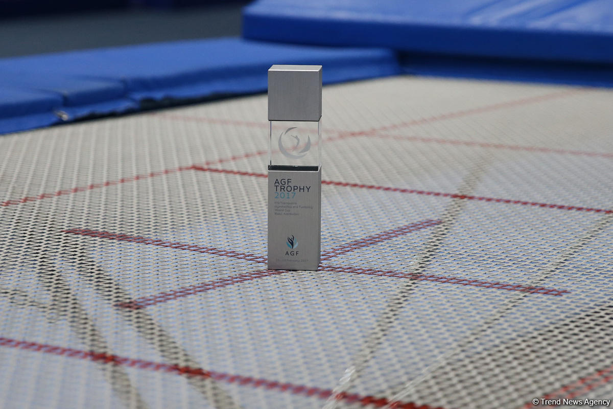 Special prize to be awarded at Baku FIG World Cup (PHOTO)