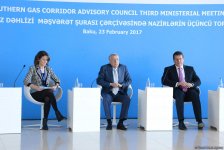 Natig Aliyev: SGC project cost not to exceed $40B (PHOTO)