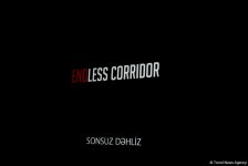 Heydar Aliyev Foundation VP Leyla Aliyeva attends "Endless Corridor" screening