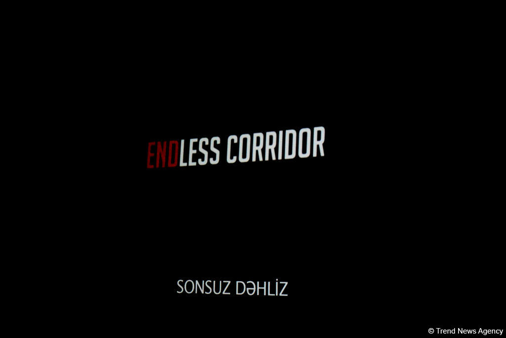 Heydar Aliyev Foundation VP Leyla Aliyeva attends "Endless Corridor" screening
