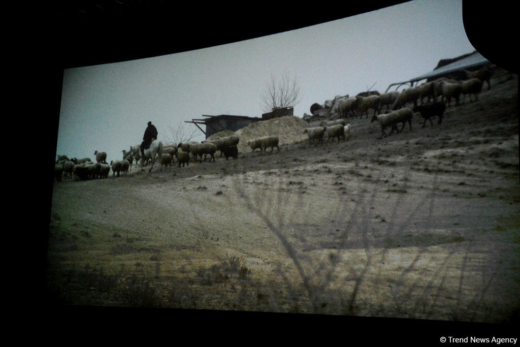Heydar Aliyev Foundation VP Leyla Aliyeva attends "Endless Corridor" screening