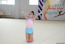 В Баку проходит I Кубок Зиря и межрегиональный кубок "Огонь Новруза" по художественной гимнастике (ФОТО)