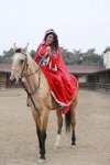Сильнейшая паратхэквондистка мира Айнур Мамедова в образе символа Новруза на коне (ФОТО)