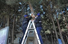 По инициативе вице-президента Фонда Гейдара Алиева Лейлы Алиевой дан старт проекту "Школьные сады" (ФОТО)