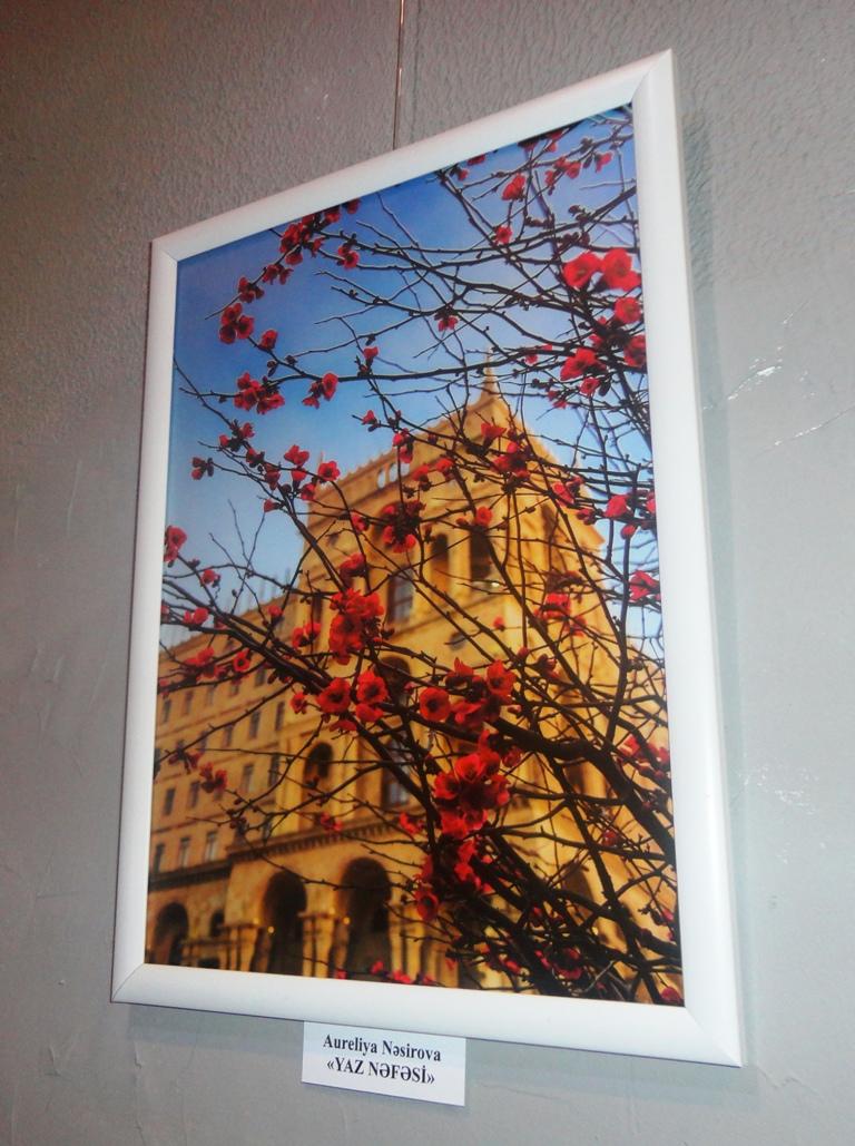 Время ярких цветов и романтики: открытие выставки Baku. Spring. Love (ФОТО)