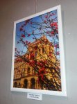 Время ярких цветов и романтики: открытие выставки Baku. Spring. Love (ФОТО)