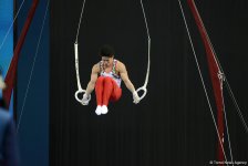 Третий день соревнований Кубка мира по спортивной гимнастике в Баку (ФОТОРЕПОРТАЖ)