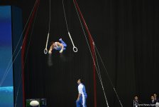 Третий день соревнований Кубка мира по спортивной гимнастике в Баку (ФОТОРЕПОРТАЖ)
