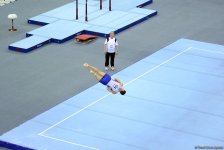 Day 1 of FIG World Cup finals kicks off in Baku (PHOTO)