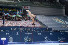 Четвертый день соревнований Кубка мира по спортивной гимнастике в Баку в фотографиях