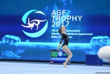 Четвертый день соревнований Кубка мира по спортивной гимнастике в Баку в фотографиях
