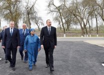Президент Ильхам Алиев ознакомился с хлопковым полем в Саатлинском районе (ФОТО)