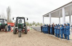 Президент Ильхам Алиев ознакомился с хлопковым полем в Саатлинском районе (ФОТО)