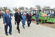 Президент Ильхам Алиев ознакомился с хлопковым полем в Саатлинском районе (ФОТО)