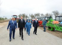 Президент Ильхам Алиев ознакомился с хлопковым полем в Саатлинском районе (ФОТО)