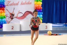 Состоялось открытое первенство по художественной гимнастике «Кубок Забрата» (ФОТО)