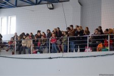 Состоялось открытое первенство по художественной гимнастике «Кубок Забрата» (ФОТО)