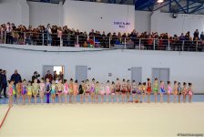 Состоялось открытое первенство по художественной гимнастике «Кубок Забрата» (ФОТО)
