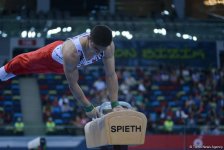 Мужская сборная Азербайджана по спортивной гимнастике выиграла "серебро" Исламиады (ФОТО)