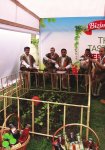 В Баку создан кулинарный оазис – первый Фестиваль еды на открытом воздухе (ФОТО)