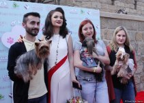 Уникальная коллекция для домашних питомцев Pet Fashion Show by NELYA  представлена в Баку (ФОТО)