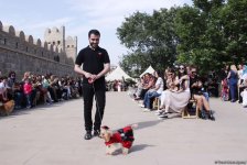 Уникальная коллекция для домашних питомцев Pet Fashion Show by NELYA  представлена в Баку (ФОТО)
