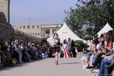 Уникальная коллекция для домашних питомцев Pet Fashion Show by NELYA  представлена в Баку (ФОТО)