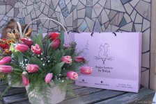 Уникальная коллекция для домашних питомцев Pet Fashion Show by NELYA  представлена в Баку (ФОТО)
