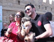 Уникальная коллекция для домашних питомцев Pet Fashion Show by NELYA  представлена в Баку (ФОТО)