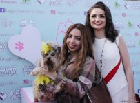 Уникальная коллекция для домашних питомцев Pet Fashion Show by NELYA  представлена в Баку (ФОТО)