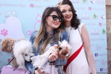 Уникальная коллекция для домашних питомцев Pet Fashion Show by NELYA  представлена в Баку (ФОТО)