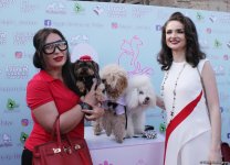 Уникальная коллекция для домашних питомцев Pet Fashion Show by NELYA  представлена в Баку (ФОТО)