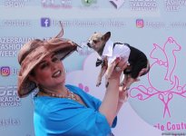 Уникальная коллекция для домашних питомцев Pet Fashion Show by NELYA  представлена в Баку (ФОТО)