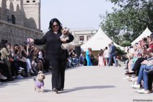 Уникальная коллекция для домашних питомцев Pet Fashion Show by NELYA  представлена в Баку (ФОТО)