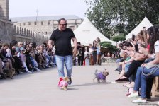 Уникальная коллекция для домашних питомцев Pet Fashion Show by NELYA  представлена в Баку (ФОТО)