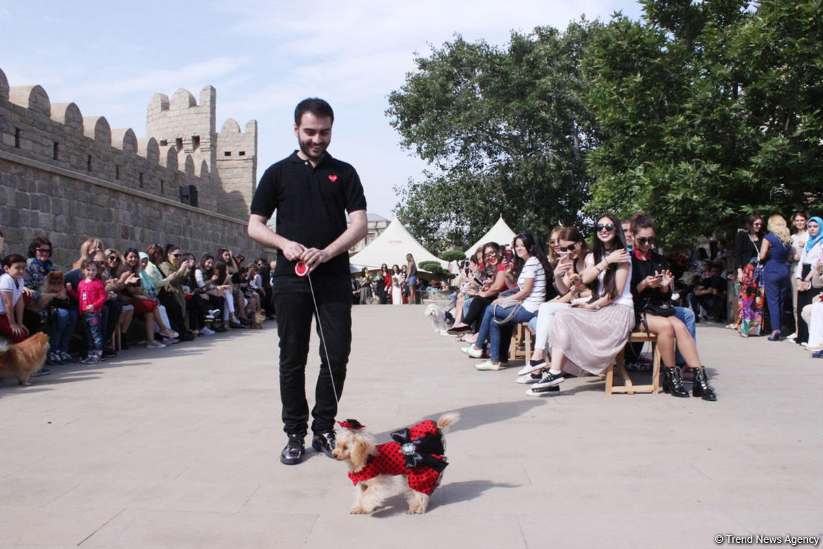 Уникальная коллекция для домашних питомцев Pet Fashion Show by NELYA  представлена в Баку (ФОТО)